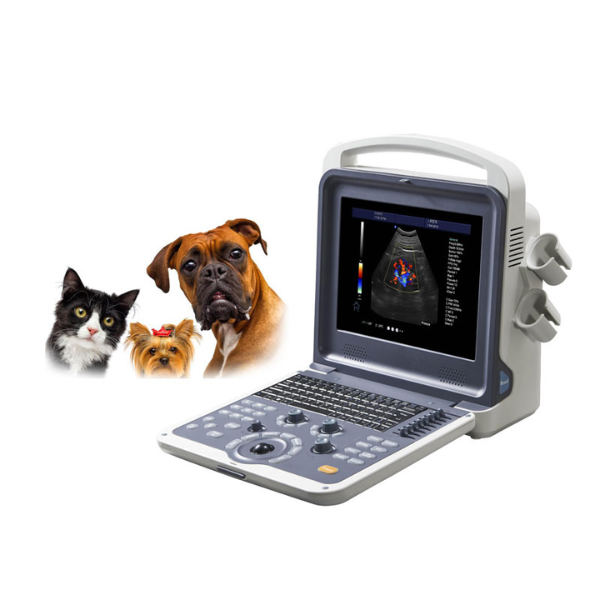 VET Color Doppler